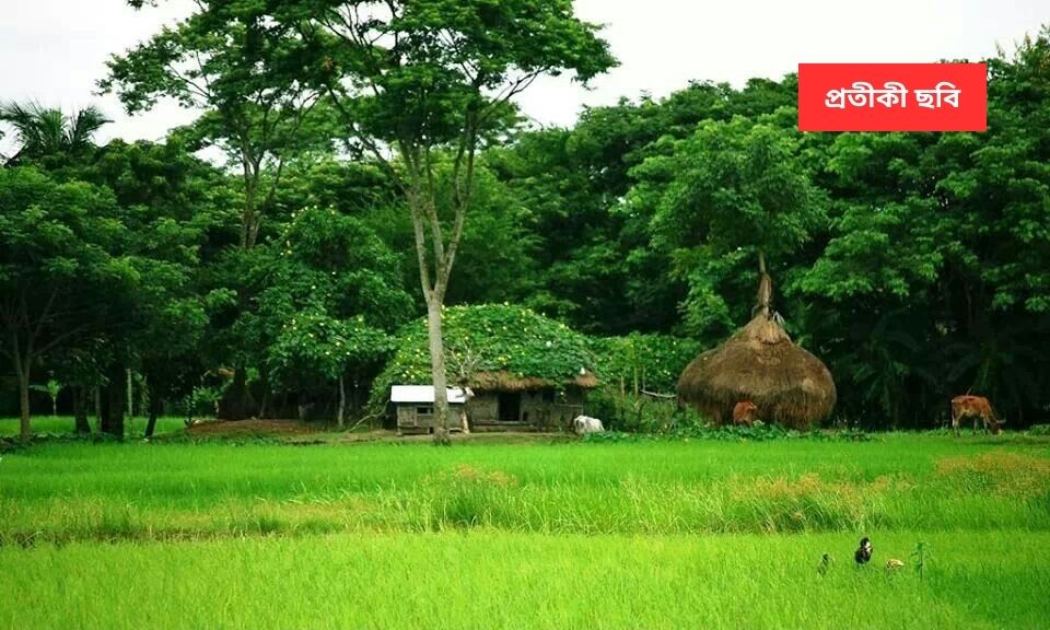 এই গ্রামের সবাই বিষধর কোবরা পোষেন, ছোটদের খেলার সঙ্গীও এই সাপ!